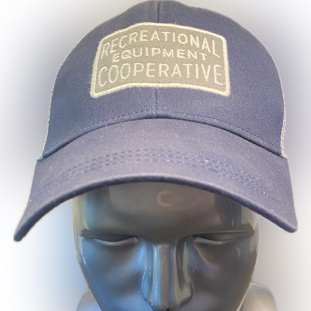 Rei Recreational Equipment Cooperative Hat Gray Blue Snapback Hat Adjustable